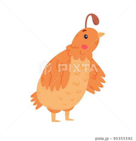 Quail Bird with Crest and Feathers in Standing Pose Vector Illustration 95355592