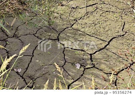 水不足でひび割れた大地 水不足でひび割れた大地 95356274