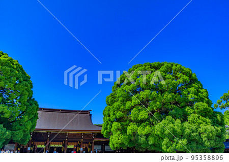 【東京の都市風景】明治神宮周辺の風景 【東京の都市風景】明治神宮周辺の風景 95358896