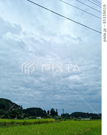 空 昼 雲 95359019
