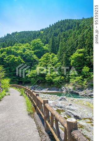 荒川上流　道の駅大滝温泉付近　遊歩道　新緑の風景 95359255
