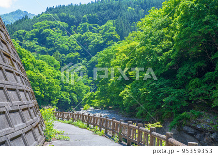 荒川上流　道の駅大滝温泉付近　遊歩道　新緑の風景 95359353