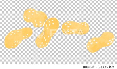 Peanut illustration 95359406