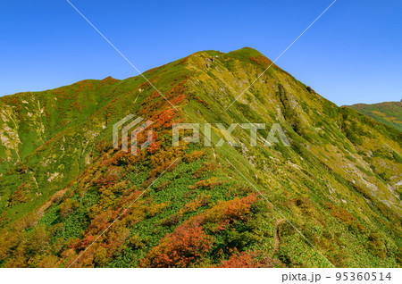 紅葉の谷川連峰・茂倉岳と稜線の絶景 95360514