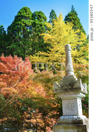 鎮国寺頂峯院 大師堂の秋の風景 鎮国寺頂峯院 大師堂の秋の風景 95360547