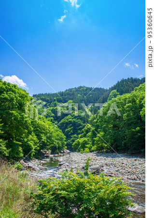 荒川上流　道の駅大滝温泉付近　遊歩道からの眺め　新緑の風景 95360645