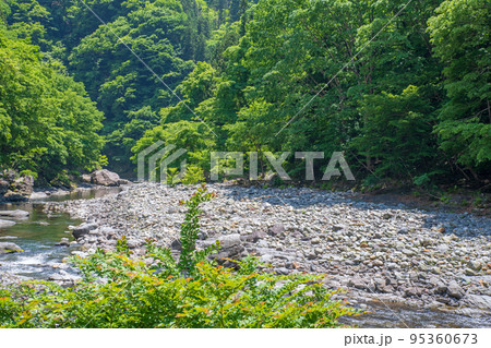 荒川上流　道の駅大滝温泉付近　遊歩道からの眺め　新緑の風景 95360673