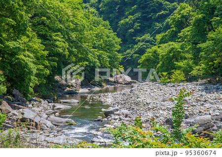 荒川上流 道の駅大滝温泉付近 遊歩道からの眺め 新緑の風景 荒川上流 道の駅大滝温泉付近 遊歩道からの眺め 新緑の風景 95360674