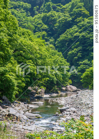荒川上流　道の駅大滝温泉付近　遊歩道からの眺め　新緑の風景 95360675