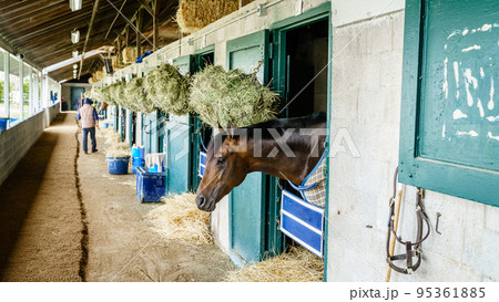 Horse stables 95361885