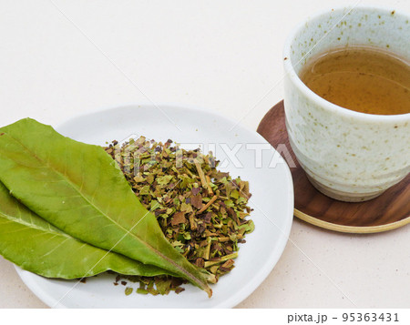 ビワの葉と、ビワの葉茶2 95363431