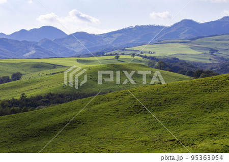 ナイタイ高原牧場 95363954