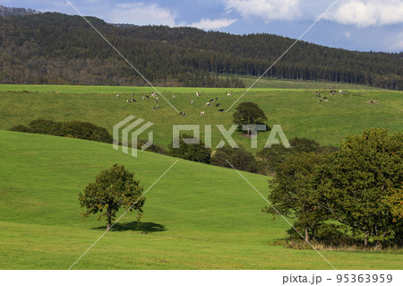 ナイタイ高原牧場 95363959