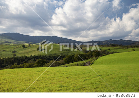 ナイタイ高原牧場 95363973