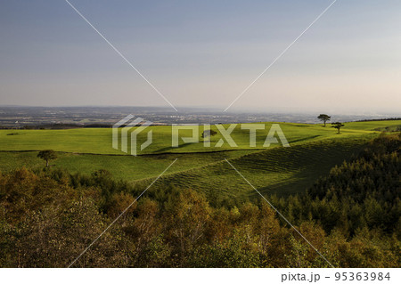 ナイタイ高原牧場 95363984