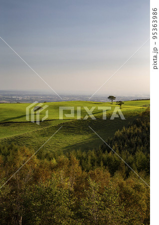 ナイタイ高原牧場 95363986