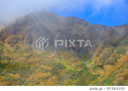 紅葉時期に美しい長野県栂池自然園の風景 紅葉時期に美しい長野県栂池自然園の風景 95364100