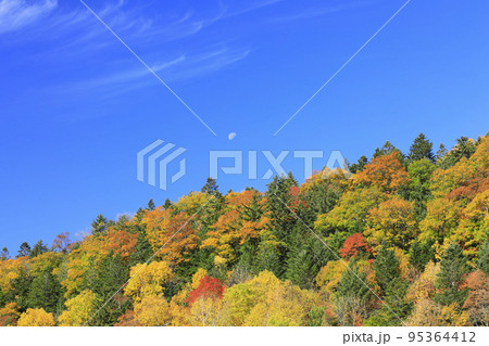 北海道 紅葉 北海道 紅葉 95364412