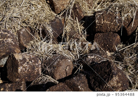 自家製堆肥 易分解性有機物 分解中2 自家製堆肥 易分解性有機物 分解中2 95364488