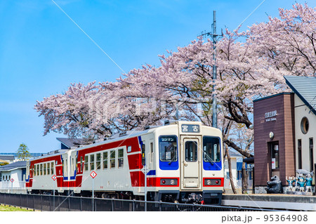 岩手県　三陸鉄道・吉里吉里駅　～桜満開の駅に停車中の列車～ 95364908