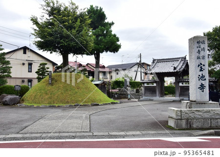 静岡県清水町　旧東海道沿いの伏見一里塚（宝池寺一里塚） 95365481