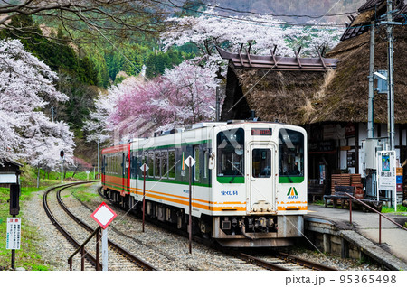 福島県　会津鉄道　～桜満開の湯之上温泉駅～ 95365498