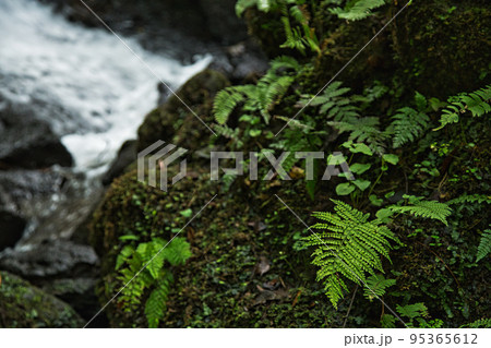ひづめの滝 ひづめの滝 95365612