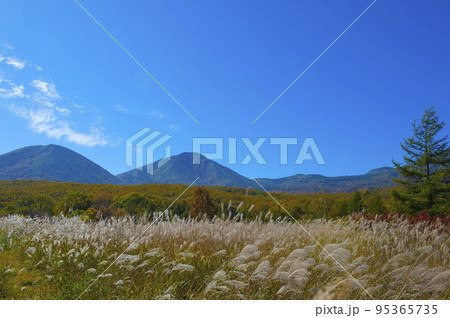 田代平の紅葉 田代平の紅葉 95365735