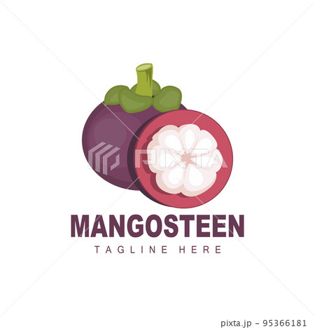 Mangosteen Logo Design, Fresh Fruit Vector for Skin Health, Fruit Shop Brand Illustration And Natural Skin Medicine 95366181