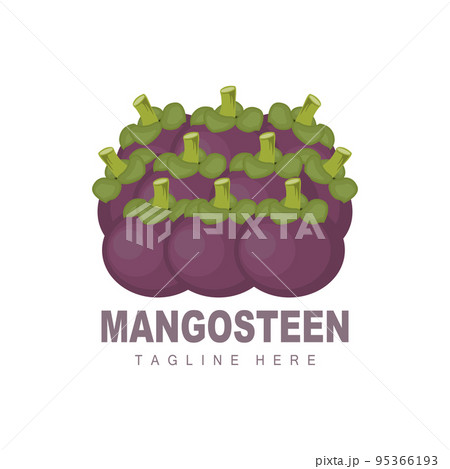 Mangosteen Logo Design, Fresh Fruit Vector for Skin Health, Fruit Shop Brand Illustration And Natural Skin Medicine 95366193