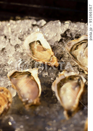 Fresh opened oyster offered as top view on crushed ice Fresh opened oyster offered as top view on crushed ice 95366367
