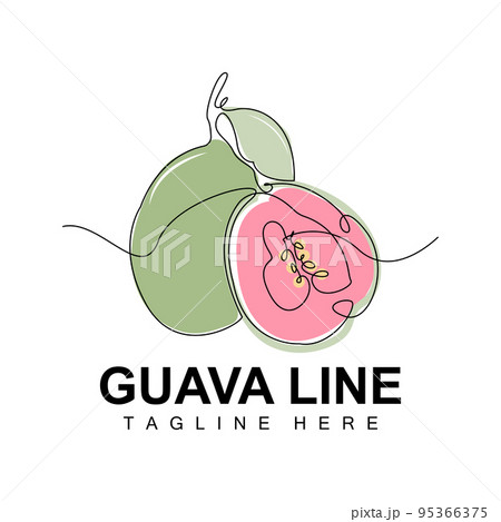 Guava Logo Design, Vector With Line Style, Fresh Fruit Market Illustration, Vitamin Plant Guava Logo Design, Vector With Line Style, Fresh Fruit Market Illustration, Vitamin Plant 95366375