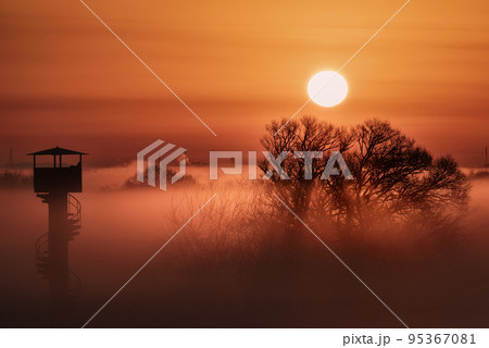 渡良瀬遊水地の夜明け【群馬・栃木・埼玉・茨城】 渡良瀬遊水地の夜明け【群馬・栃木・埼玉・茨城】 95367081