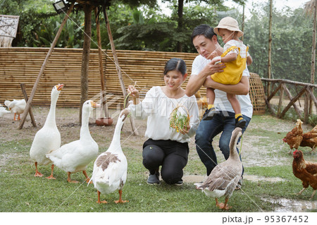 Happy family father, mother and son feed duck at farm. 95367452