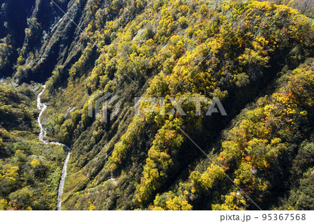 紅葉の秋 ニセコ 新見峠を空撮 95367568