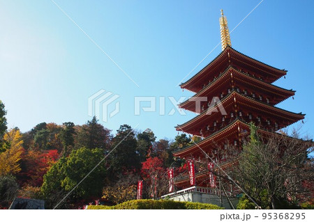 紅葉に彩られる高幡不動五重塔 紅葉に彩られる高幡不動五重塔 95368295