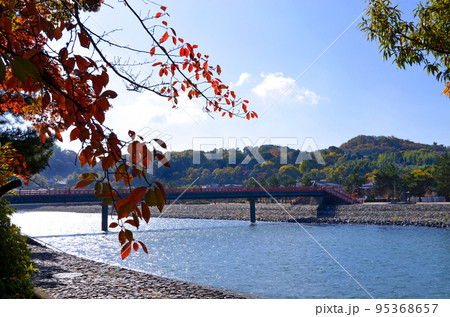 京都　宇治川の風景 95368657