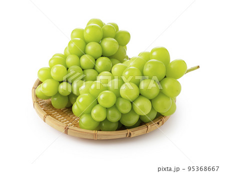 シャインマスカット 95368667