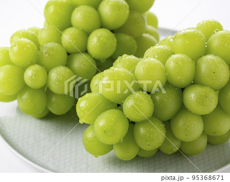 シャインマスカット 95368671