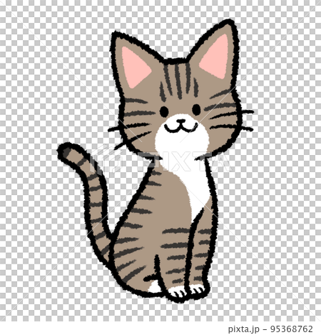 簡單的虎斑貓 簡單的虎斑貓 95368762