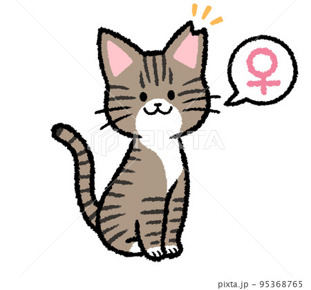 耳カットをされた雌のキジトラ猫 95368765