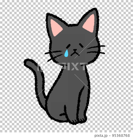 Crying black cat 95368768
