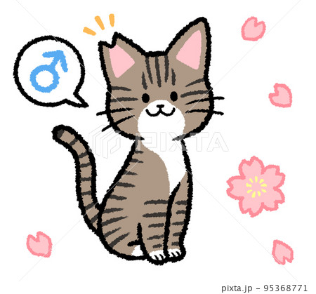 耳カットをされた雄のキジトラ猫 95368771