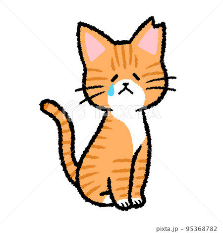 耳カットをされた雌の茶トラ猫 95368782