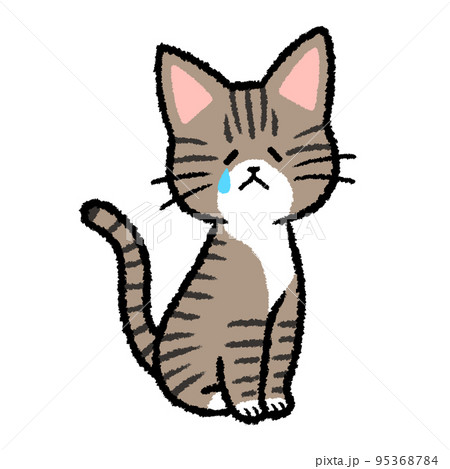 泣いているキジトラ猫 95368784