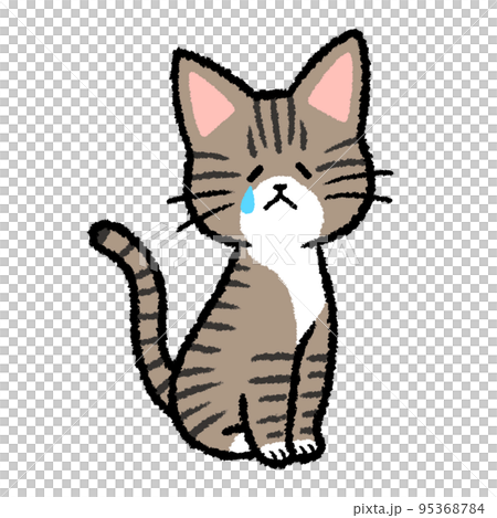 crying tabby cat 95368784