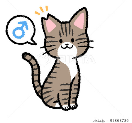 耳カットをされた雄のキジトラ猫 95368786