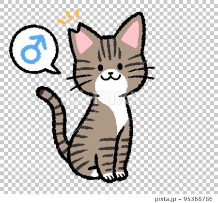 耳カットをされた雄のキジトラ猫 95368786