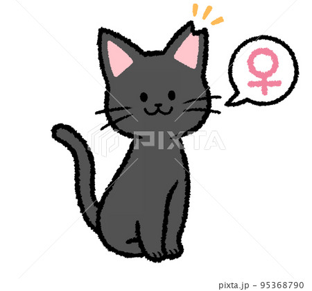 耳カットをされた雌の黒猫 95368790