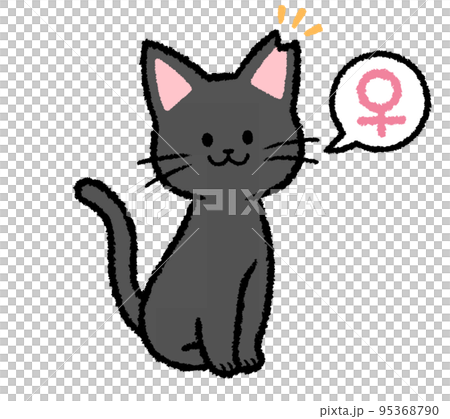 耳カットをされた雌の黒猫 95368790